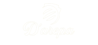 darepa-e1740680442644-1.png